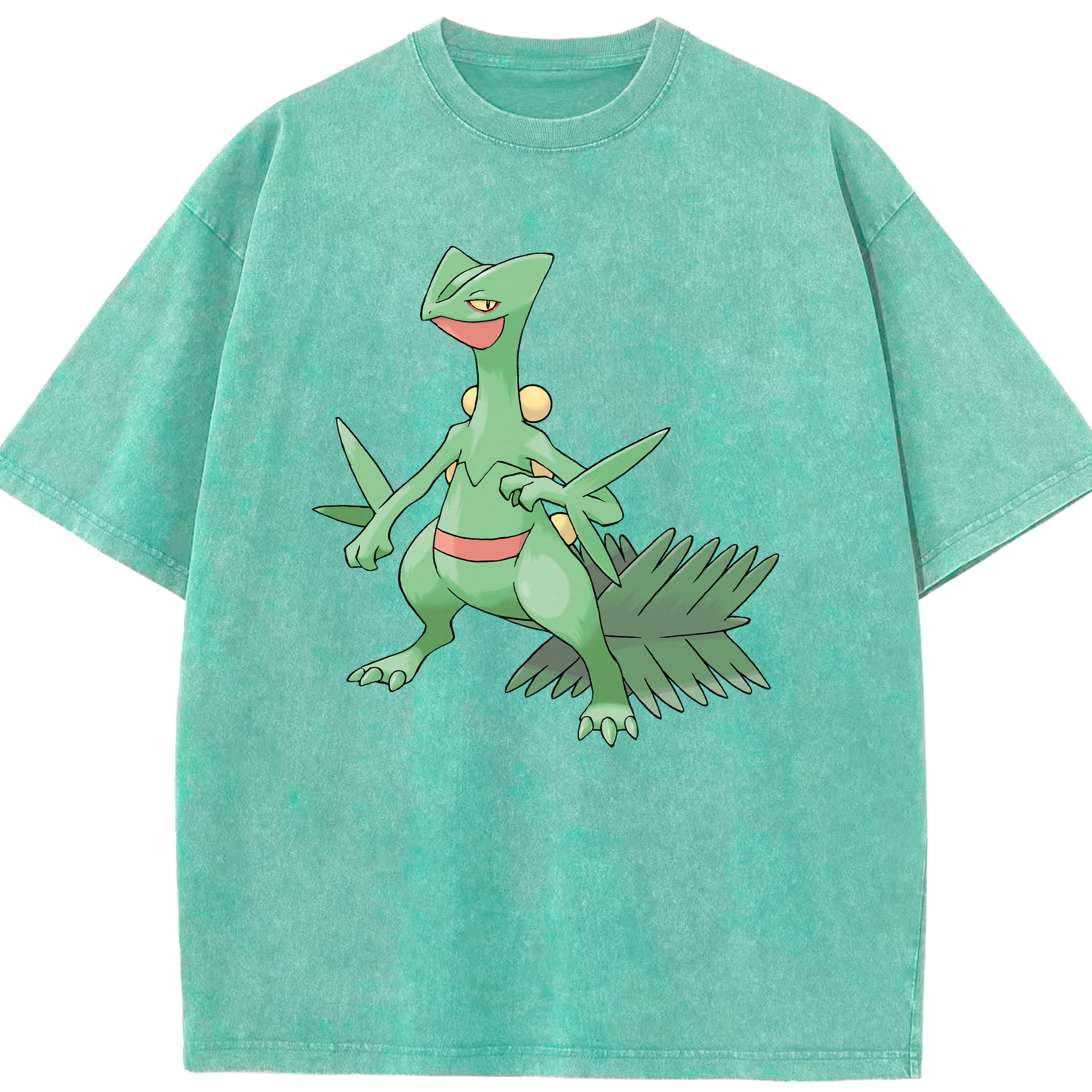 （画像用） ポケットモンスター Pokémon 綿100% ヴィンテージ風 半袖Tシャツ（フロントプリント）